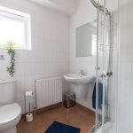 Bright white bathroom with toilet, pedestal sink, glass corner shower, radiator, blue rug, and a potted plant by the window.