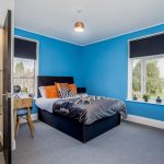 28d8aacb-06c9-41bb-b01a-0ecad146d55cjpg | RENT A ROOM | Professional House Shares in Warwickshire & West Midlands Bright blue-walled bedroom with a black bed frame, orange cushions, and two windows with dark roller blinds; a small bathroom is visible to the left.